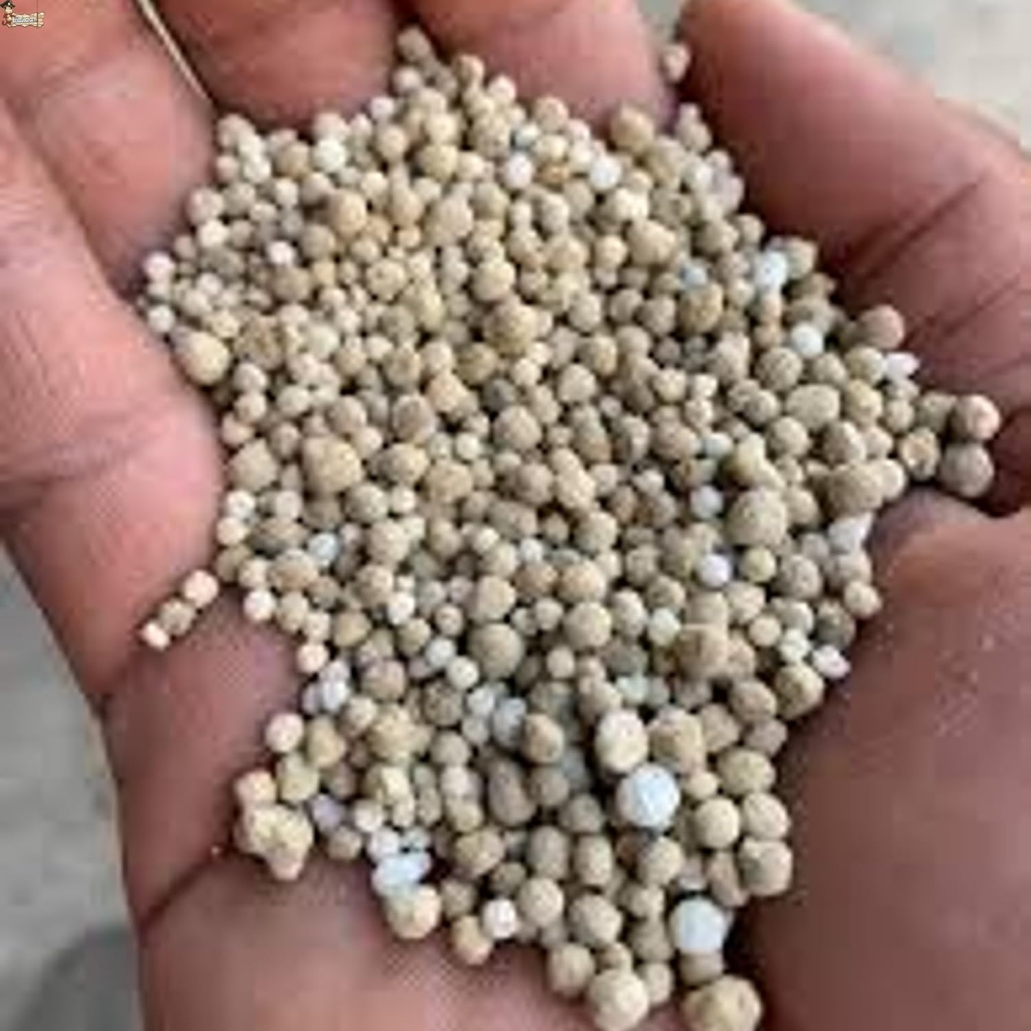 nosolotecnologia.net