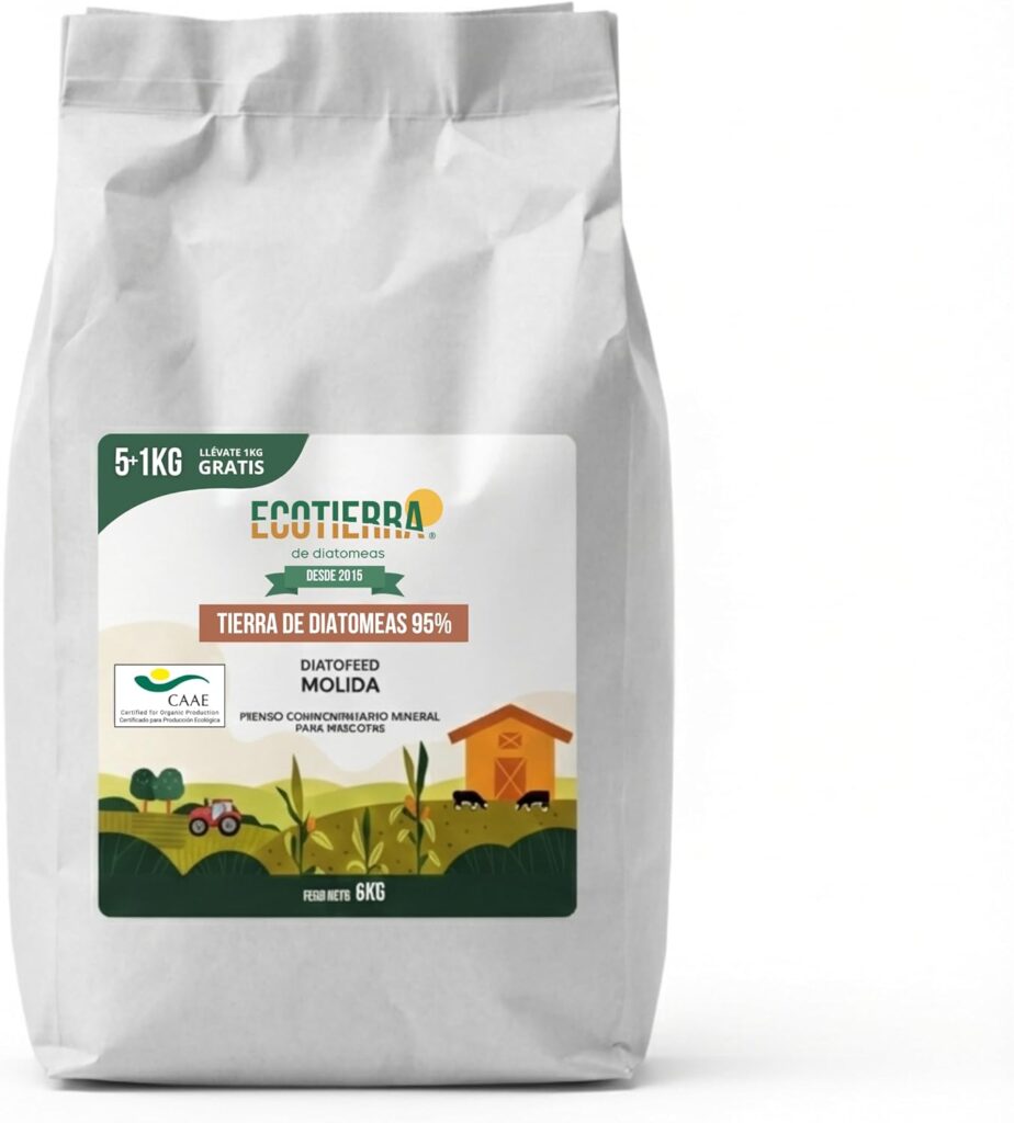 nosolotecnologia.net